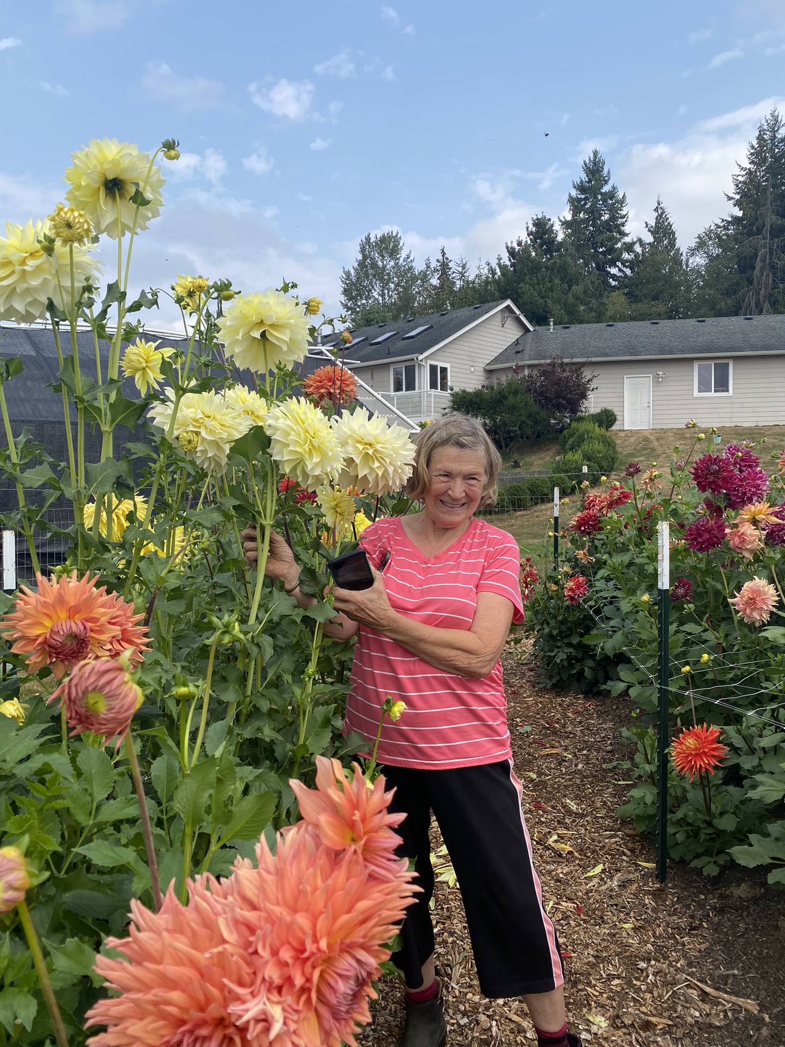 Our Story - Soaring Heart Dahlias