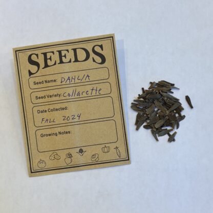 Picture of seed packet and pile of seeds